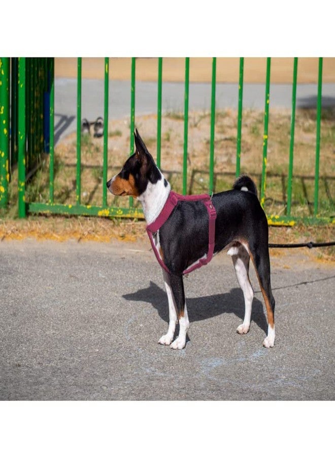 Trixie Premium Touring Harness for Dogs Made with Fleece Padding, Adjustable, and Lightweight Strong D-Ring Keeps The Harness and Leash in Place (M-L, Orchid) - Image 5